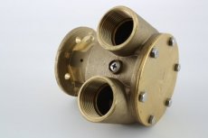 50208186 Raw water pump complete - 50208186 (ST290)